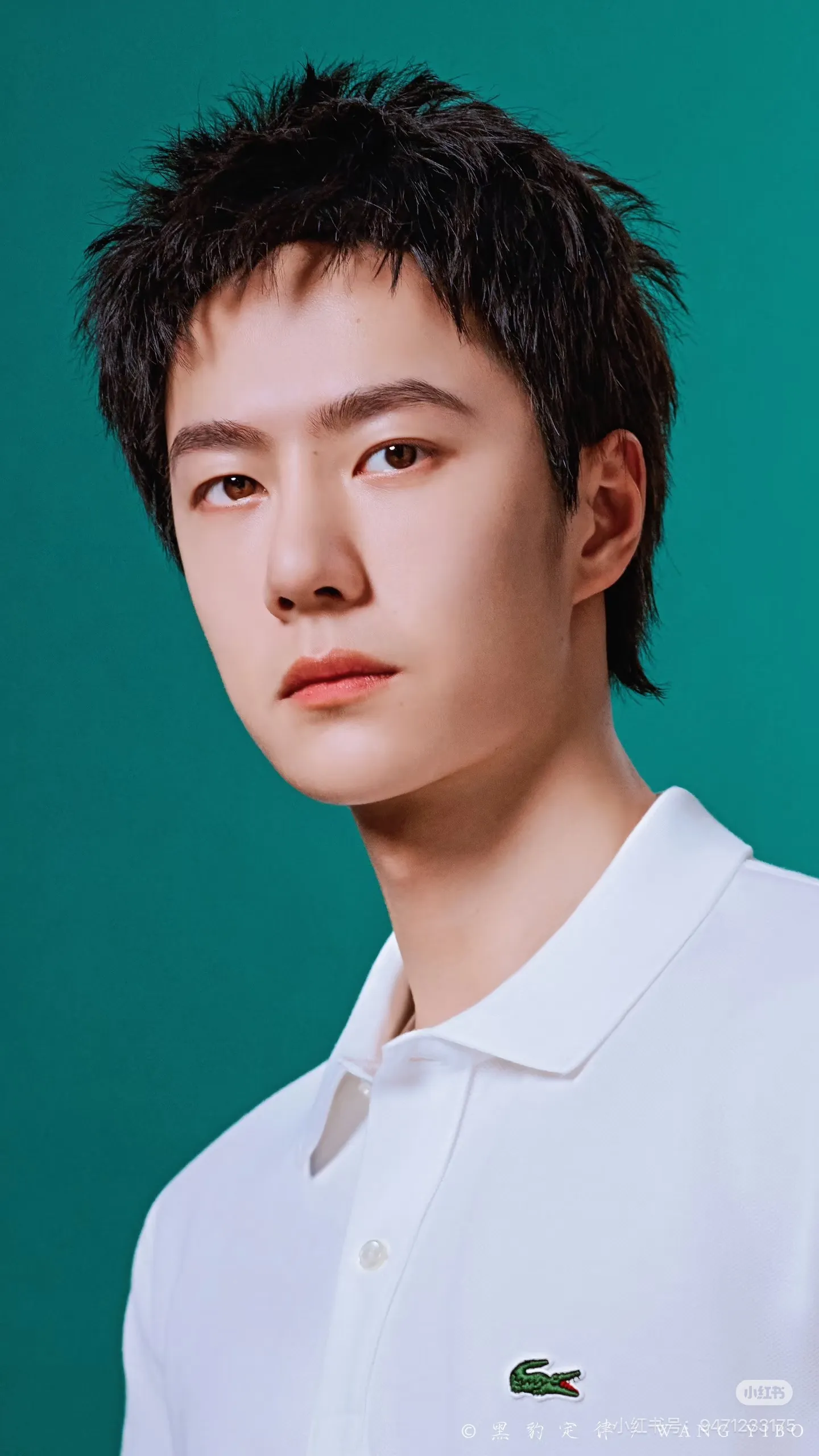 [Upper body picture] Lacoste crocodile logo Polo shirt (White)